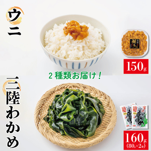 潮ウニ 150g 塩蔵わかめ 160g 冷凍 ミョウバン不使用 無添加 雲丹 寿司 汐うに 塩うに 海鮮 海藻 魚貝類 魚介類 キタムラサキウニ 小分け みそ汁 スープ 酢の物 塩水 天然 刺身 ウニ丼 ご飯 白米 おつまみ 三陸産 岩手県 大船渡市