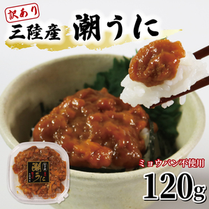 訳あり 潮うに 120g 冷凍 うに