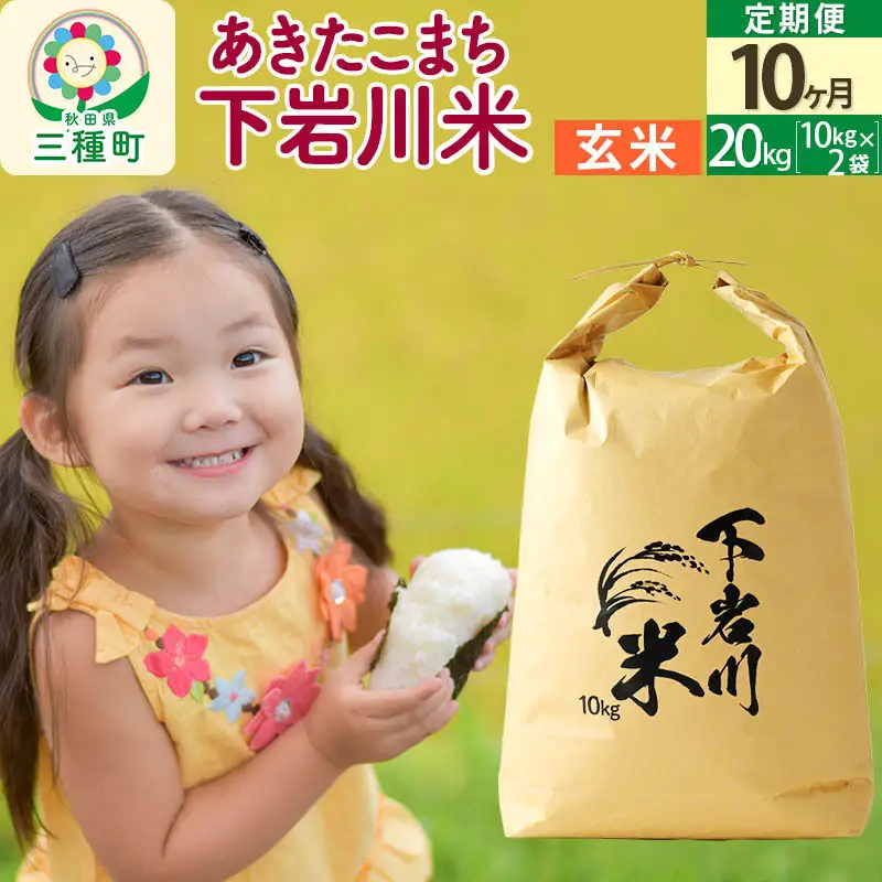 【R8年新米予約】 《10ヶ月定期便》【玄米】あきたこまち 20kg (10kg×2袋) 秋田県三種町産 令和8年産 下岩川米
