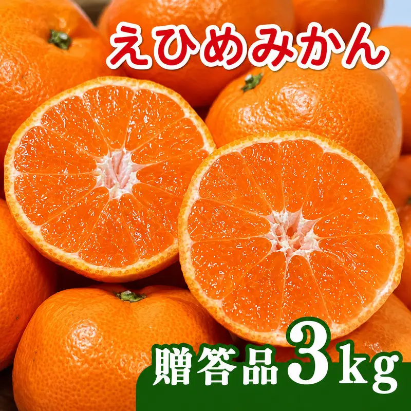 【先行予約】贈答品 愛媛みかん 3kg 傷み補償 250g 清家ばんかんビレッジ