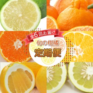 旬の 柑橘類 食べ比べ 定期便 6回 清家ばんかんビレッジ 家庭用 訳あり レモン 愛媛みかん ポンカン 文旦 不知火 河内晩柑 温州みかん 大きさ 不揃い 傷 愛媛県 愛南町 (柑橘定期便 みかん定期便 食べ比べ定期便 定期便 6回 清家ばんかんビレッジ定期便)