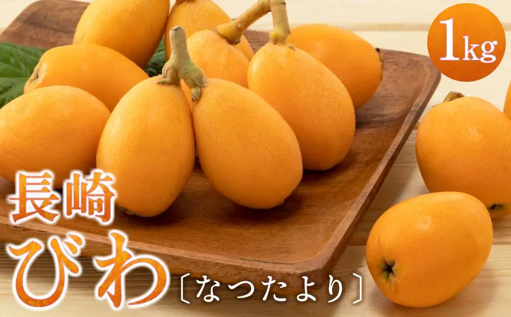 長崎びわ「なつたより」1kg＜先行予約／数量限定＞｜びわ