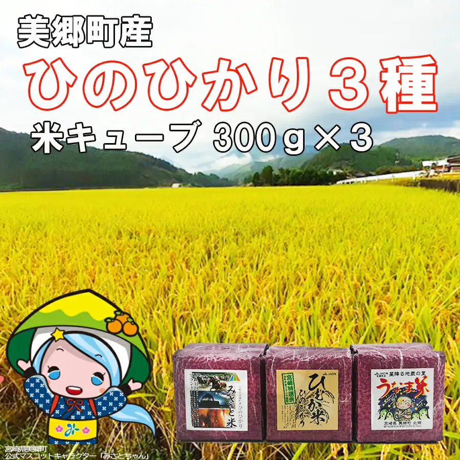 米 キューブ ひのひかり 3種 みさと米 ひむか米 うなま米 300g×3個 計900g