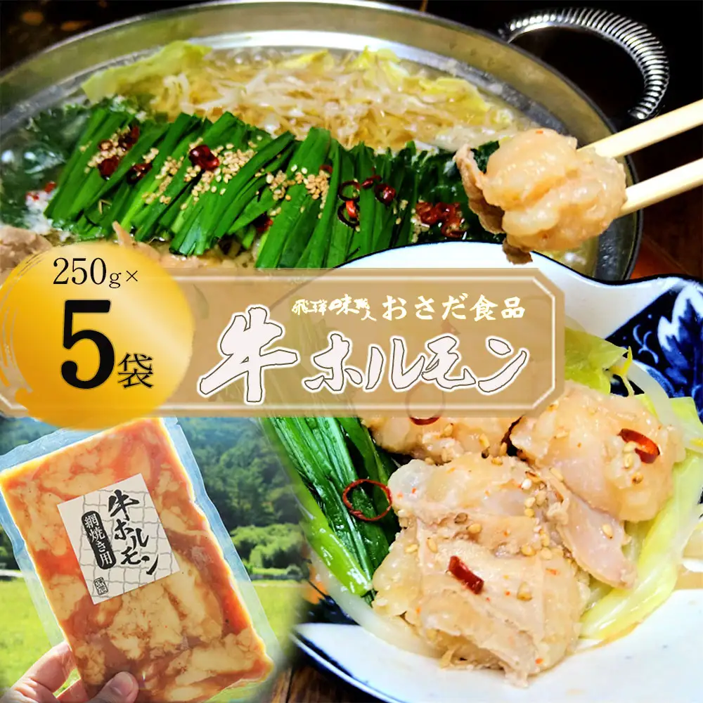 【飛騨 味職人】牛ホルモン 網焼き用（250g×5袋）【57-16】
