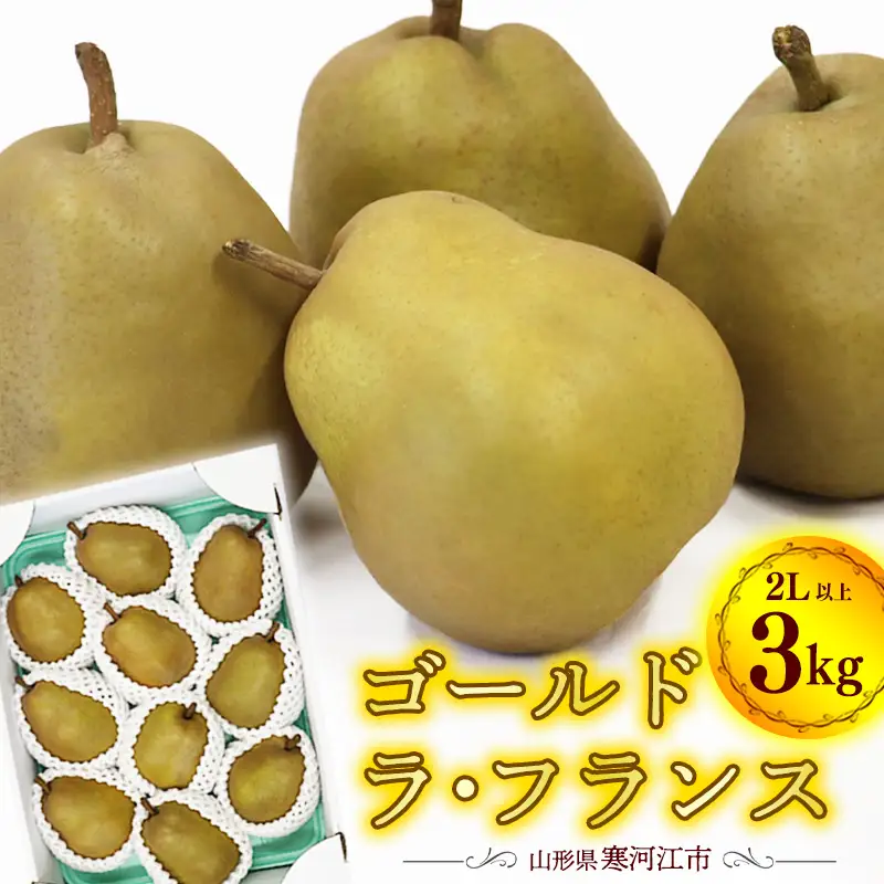 令和8年産 希少な 金系 ゴールド ラ・フランス 3kg（ 8 - 11 玉 ）2Lサイズ以上 サイズおまかせ 山形県産 【2026年11月上旬頃から12月下旬頃発送予定】　015-B-OT003