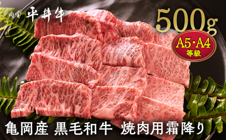 平井牛 霜降り焼肉 500g 焼肉