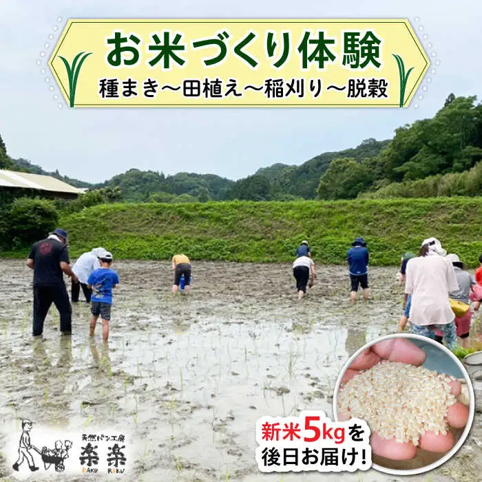 お米づくり 体験チケット 糸島市 / 天然パン工房楽楽【いとしまごころ】 [AVC065] 体験型 農業 食育