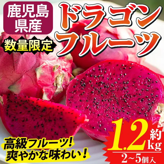 鹿児島県産 ドラゴンフルーツ 約1.2kg 果物 農薬不使用 【はまうえ果樹園】No.248 