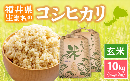 令和7年産 コシヒカリ 10kg 福井県産【玄米】【人気品種】 [e30-b014]