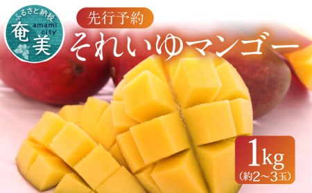 それいゆ マンゴー 1kg A006-016 それいゆマンゴー フルーツ トロピカル 先行受付  事前受付 事前予約 ソレイユスマイルふるさと納税 奄美市 おすすめ ランキング プレゼント ギフト