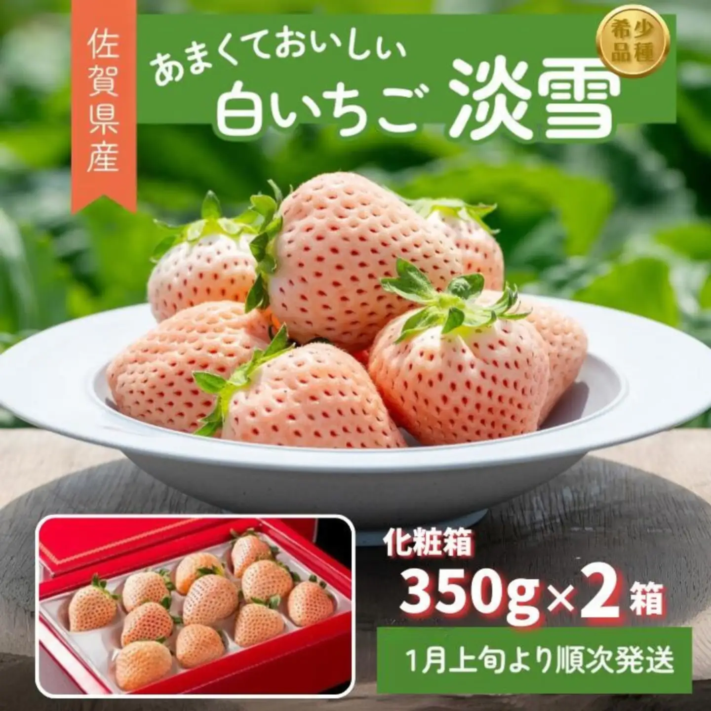 先行受付開始！希少価値 佐賀県産 いちご 淡雪 （化粧箱×2箱） 2027年1月発送開始：B190-026