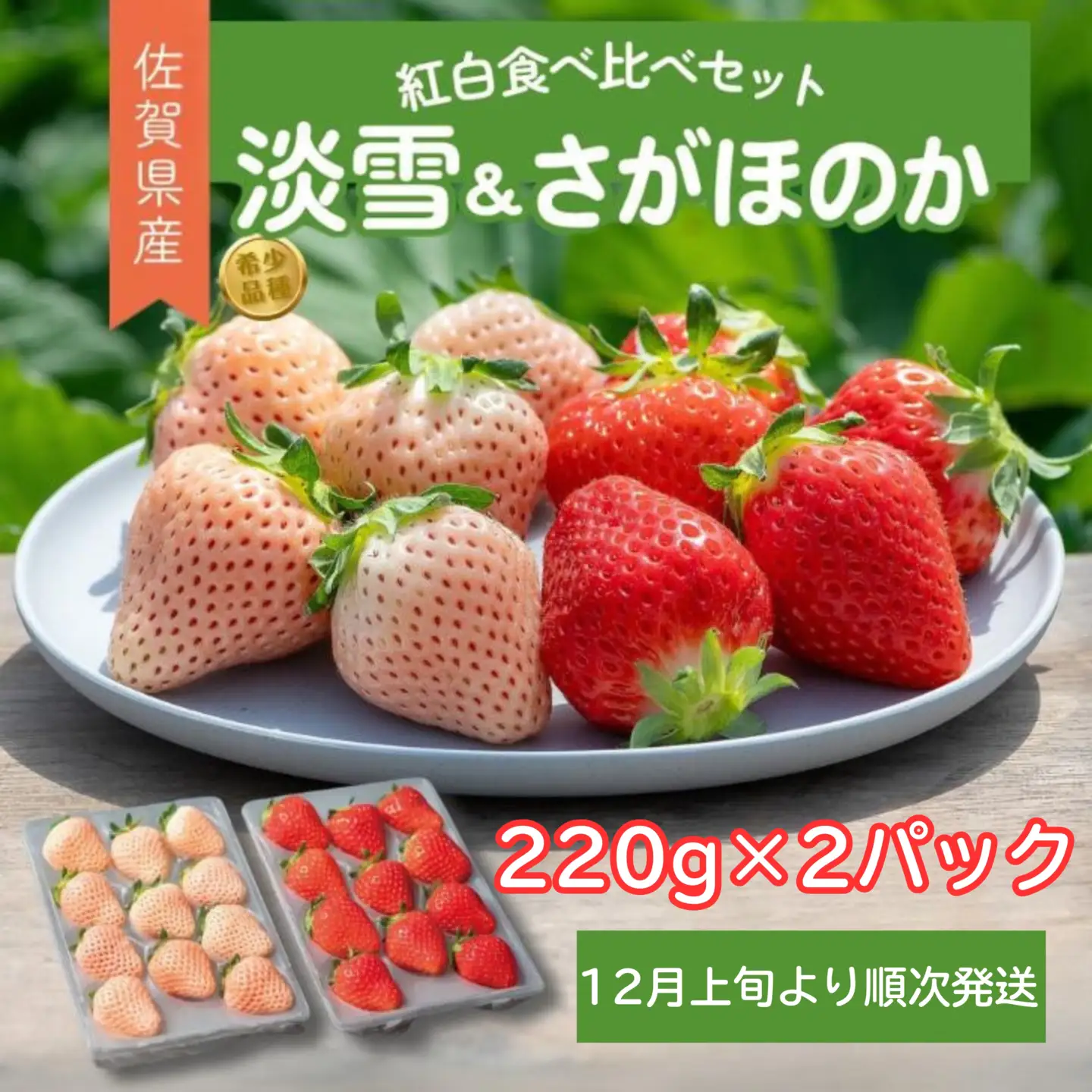 先行受付開始！佐賀県産 いちご さがほのか&淡雪 紅白セット 220g×2パック 2026年12月発送開始：B140-069
