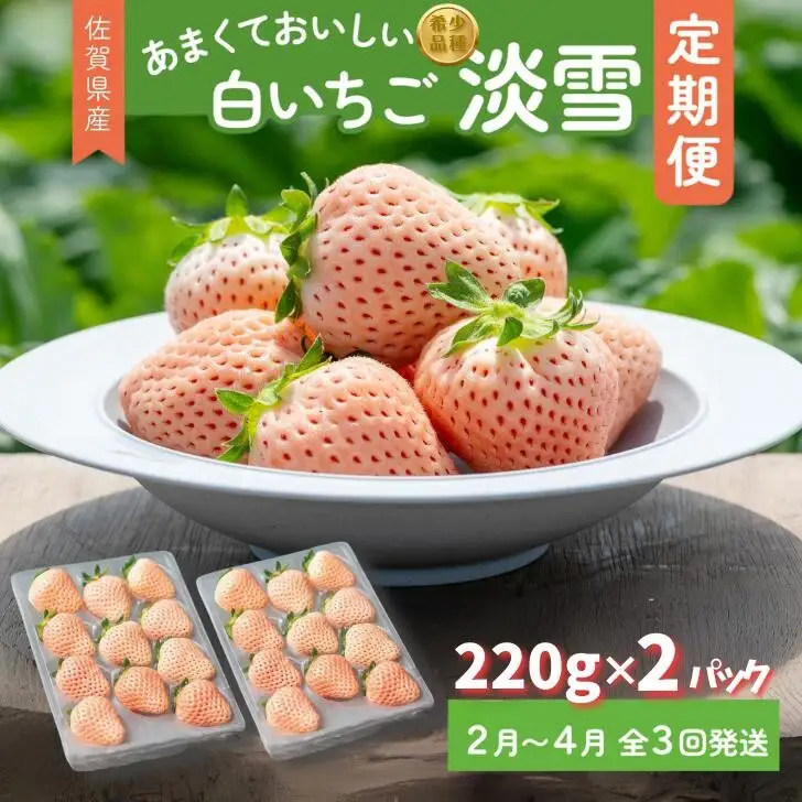 先行受付開始！【定期便3回】希少価値 佐賀県産 いちご 淡雪 2027年2~4月発送：B395-009