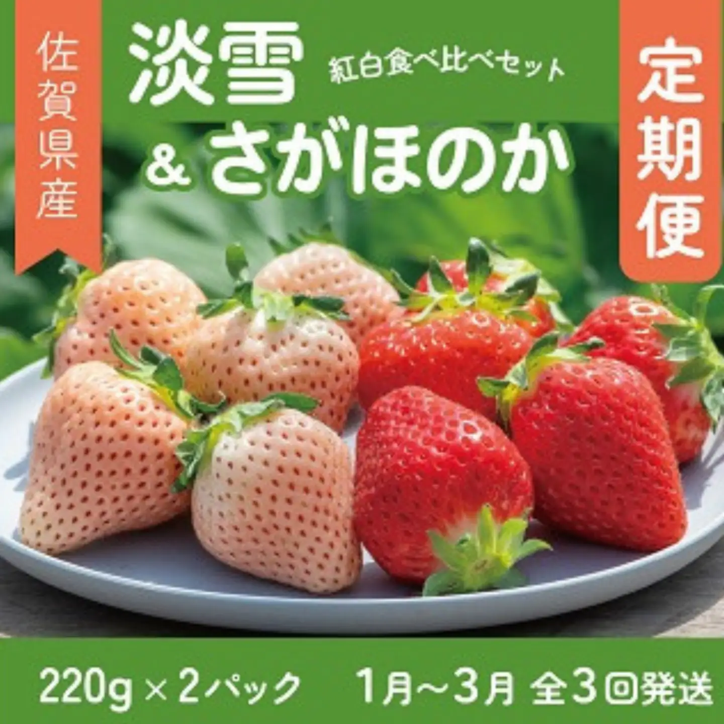 先行受付開始！【定期便3回】佐賀県産 紅白いちご 食べ比べ 2027年1~3月発送：B395-010