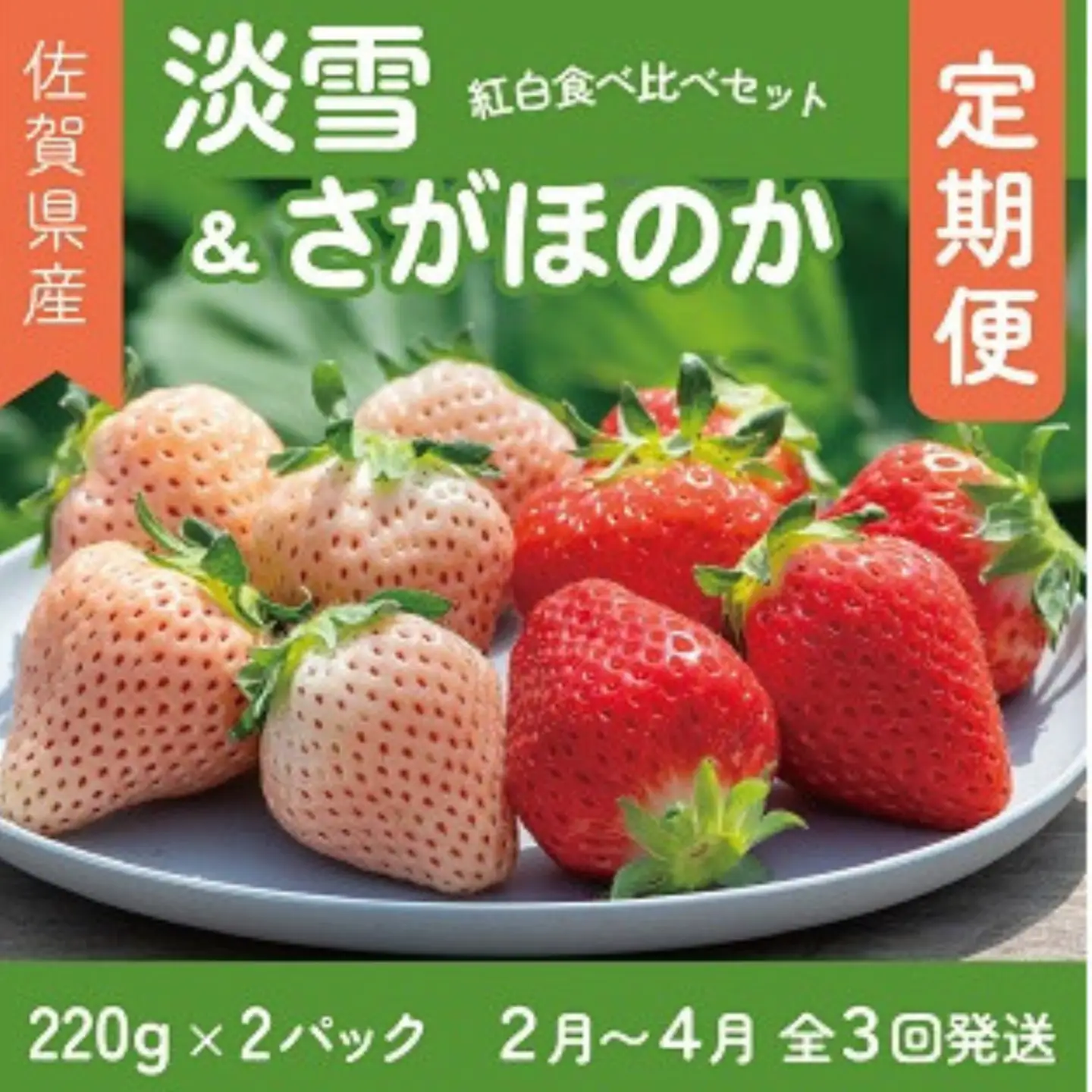 先行受付開始！【定期便3回】佐賀県産 紅白いちご 食べ比べ 2027年2~4月発送：B395-011