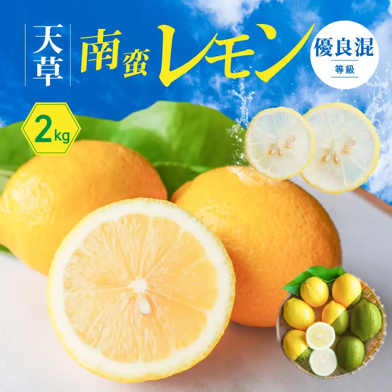 S131-005A_天草南蛮レモン　等級「優良混」2kg