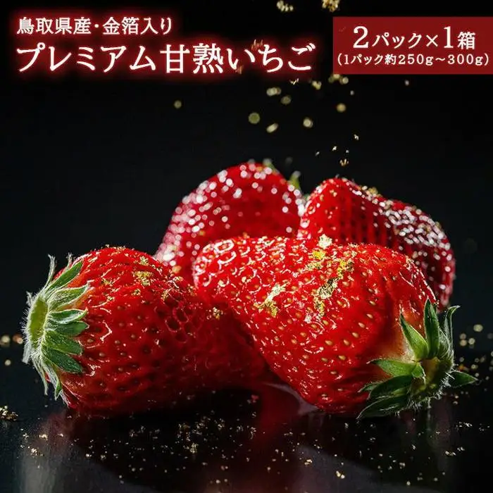 プレミアム 甘熟 いちご ※2027年1月中旬頃～2027年3月下旬頃に順次発送予定 苺