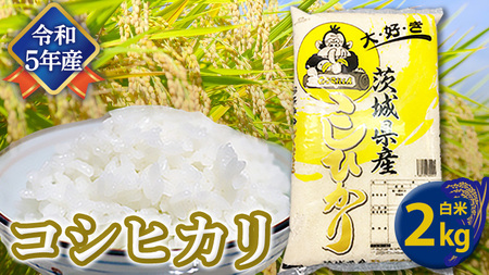 【令和5年産】 コシヒカリ 白米 2kg こしひかり 米 お米 コメ おいしい 茨城県産 精米 国産 甘い あまい