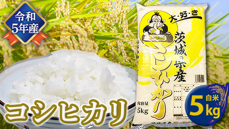 【令和5年産】コシヒカリ 白米 5kg 米 お米 コメ おいしい 茨城県産 精米 国産 ブレンド 白米 こしひかり