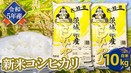 【令和5年産】 コシヒカリ 白米 10kg （5kg×2袋） こしひかり 米 お米 コメ おいしい 茨城県産 精米 国産 白米
