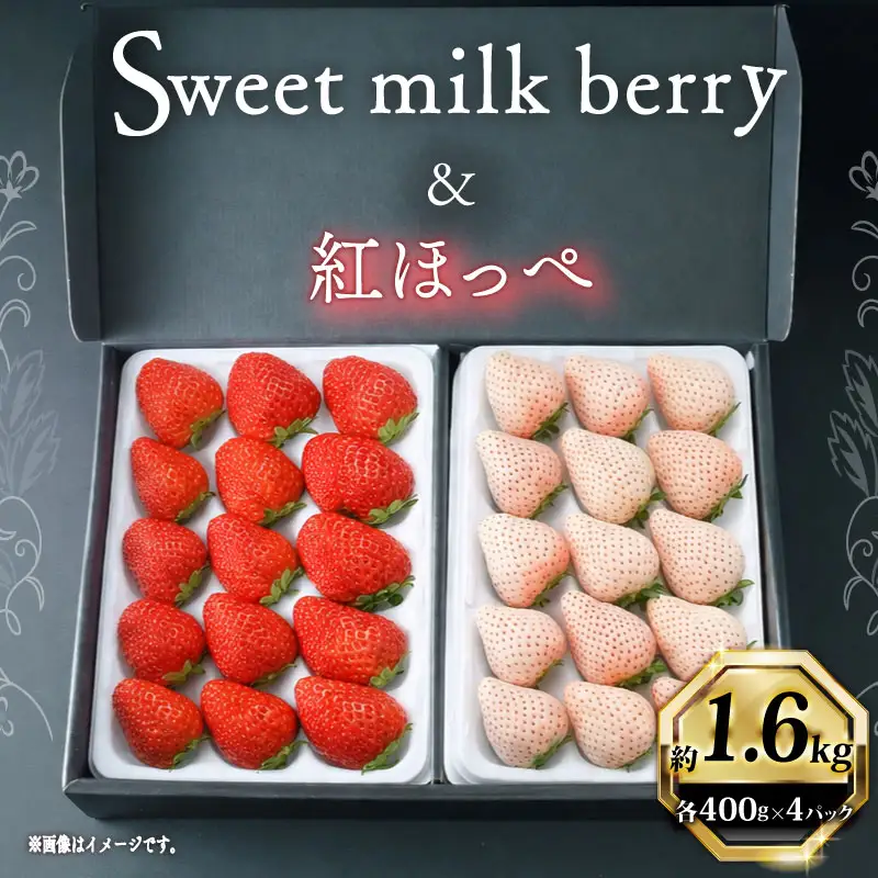 【先行予約】 いちご 紅白 いちご 1600g