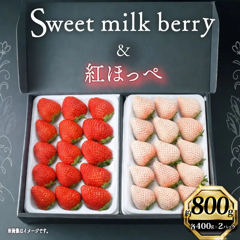 【先行予約】 いちご 紅白 いちご 800g