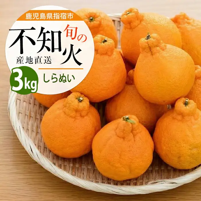 2027年発送 不知火 約3kg みかん フルーツ しらぬい IB064-005