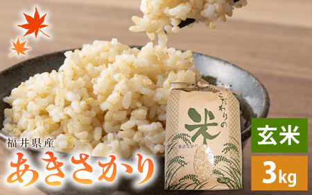 令和7年産 あきさかり 3kg 福井県産 コシヒカリ系統品種【玄米】 [e30-a090]