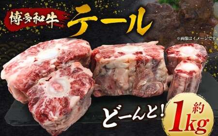 【博多和牛】テールをどーんと1kg