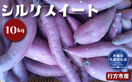 さつまいも シルクスイート 10kg 2026年11月～発送　なめらか食感 甘い 焼き芋 ねっとり しっとり 甘みが強い スイーツ 料理 てんぷら スイートポテト お菓子作り 茨城県共通返礼品・行方市産