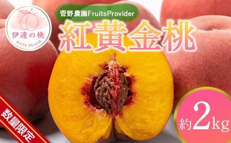 【2026年出荷分先行予約】福島県産 紅黄金桃 約2kg (5～7玉) 菅野農園FruitsProvider 数量限定 大きめ 伊達の桃 桃 フルーツ 果物 もも モモ momo F20C-641