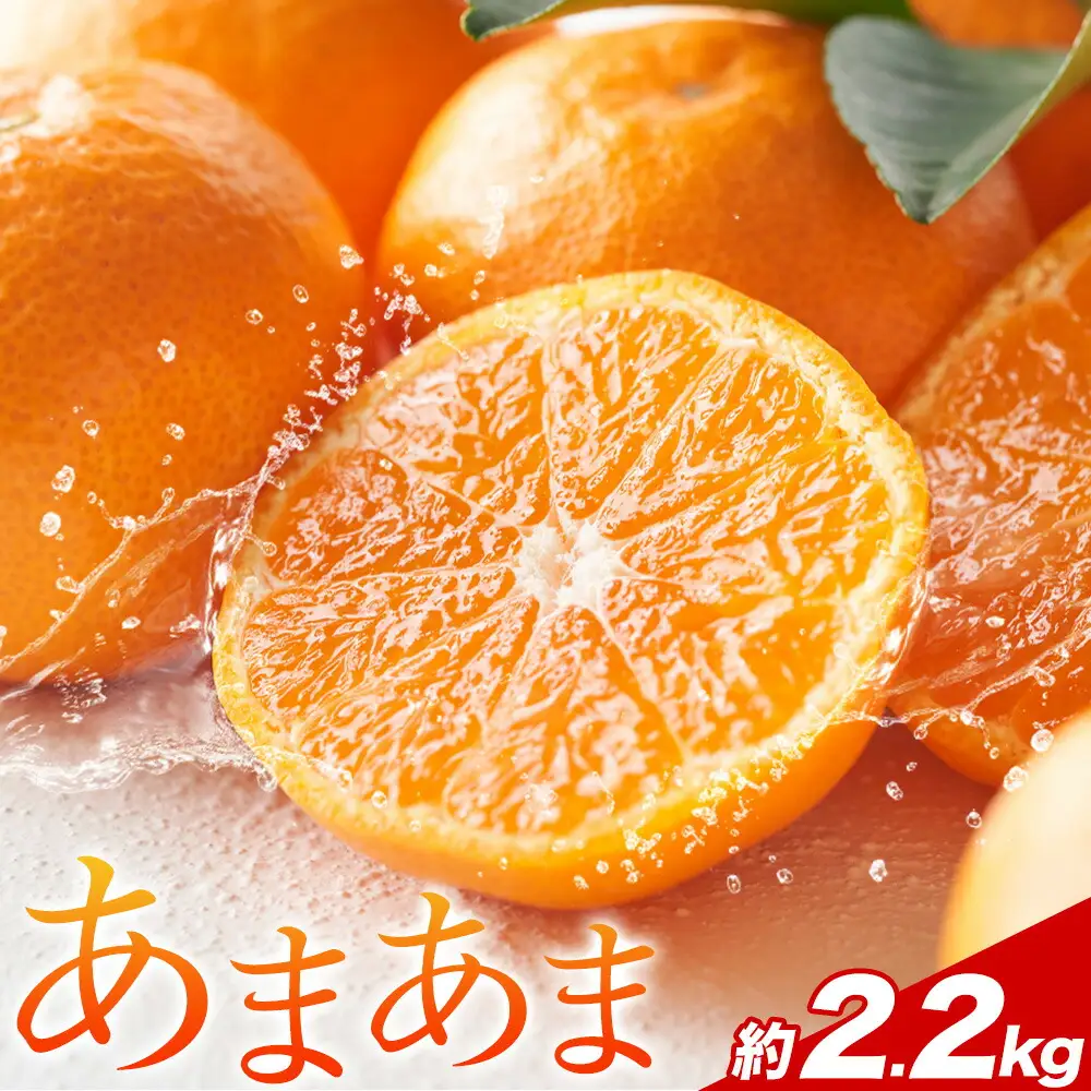 雨よけ完熟みかん あまあま 約2.2kg みかん