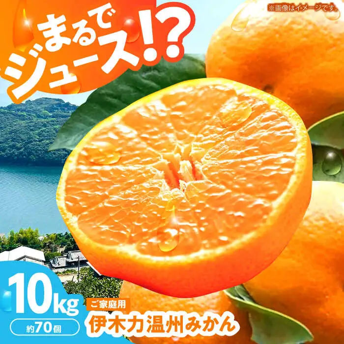 みかん10kg AHBD001 伊木力みかん