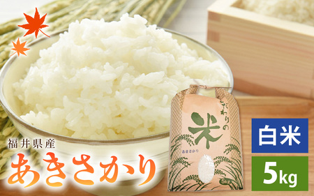  令和7年産 あきさかり 5kg 福井県産 コシヒカリ系統品種【白米】 [e30-a093]