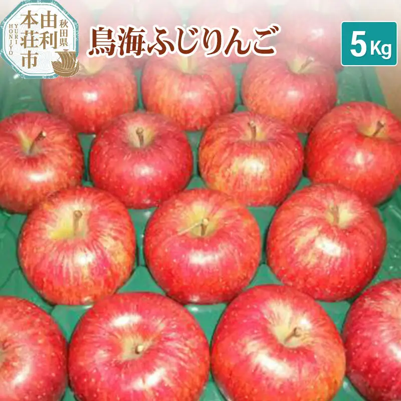 《先行受付》鳥海ふじりんご 5kg 農家直送 林檎 リンゴ