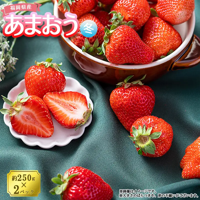 【先行予約】【冬】福岡産あまおう2パック 3V1