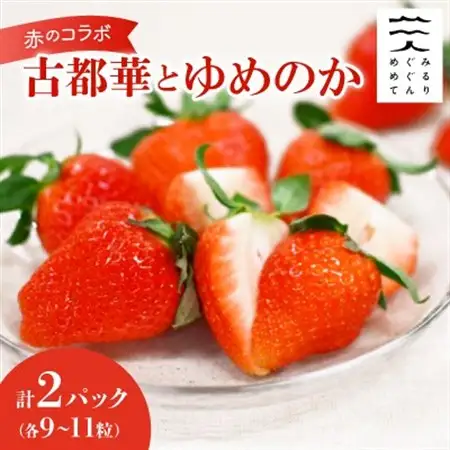 赤のコラボ「古都華」と「ゆめのか」(それぞれ9粒～11粒)_果物・フルーツ いちご  イチゴ 苺_【配送不可地域：離島】【1097359】