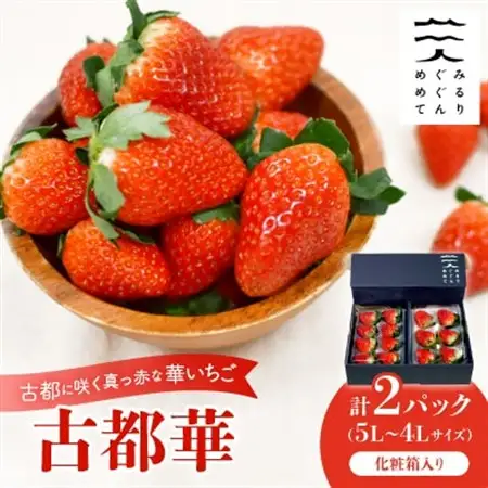 古都に咲く真っ赤な華いちご「古都華」(270g以上/5L～4Lサイズ/6～8粒)×2P　化粧箱入り_果物・フルーツ いちご  イチゴ 苺_【配送不可地域：離島】【1102951】