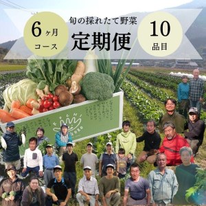『定期便』野菜詰め合わせセット6ヵ月