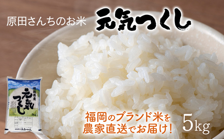 「原田さんちのお米」元気つくし5kg お取り寄せグルメ お取り寄せ 福岡 お土産 九州 ご当地グルメ 福岡土産 取り寄せ 福岡県 食品