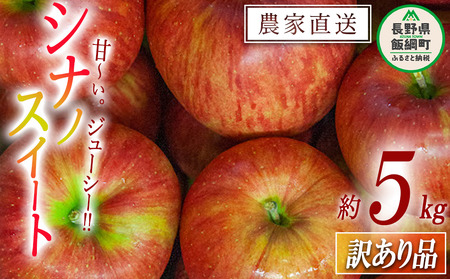 りんご シナノスイート 訳あり 5kg 令和8年度収穫分 沖縄県への配送不可 2026年10月上旬頃から2026年10月中旬頃まで順次発送予定 宮本ファーム エコファーマー 減農薬栽培 傷 変形 サビ あり 長野県 飯綱町 [1490]