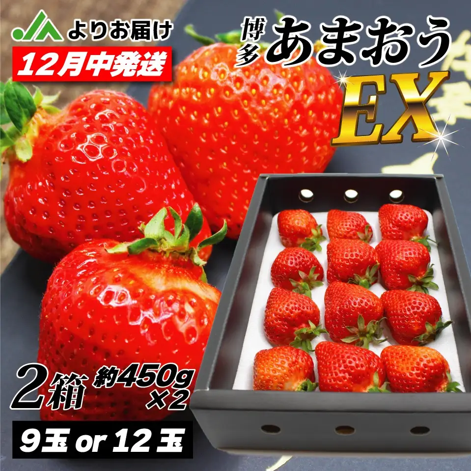 【先行予約】12月発送！「博多あまおう」EX　贈答用化粧箱　約450g 2箱【ほたるの里】_HA0755