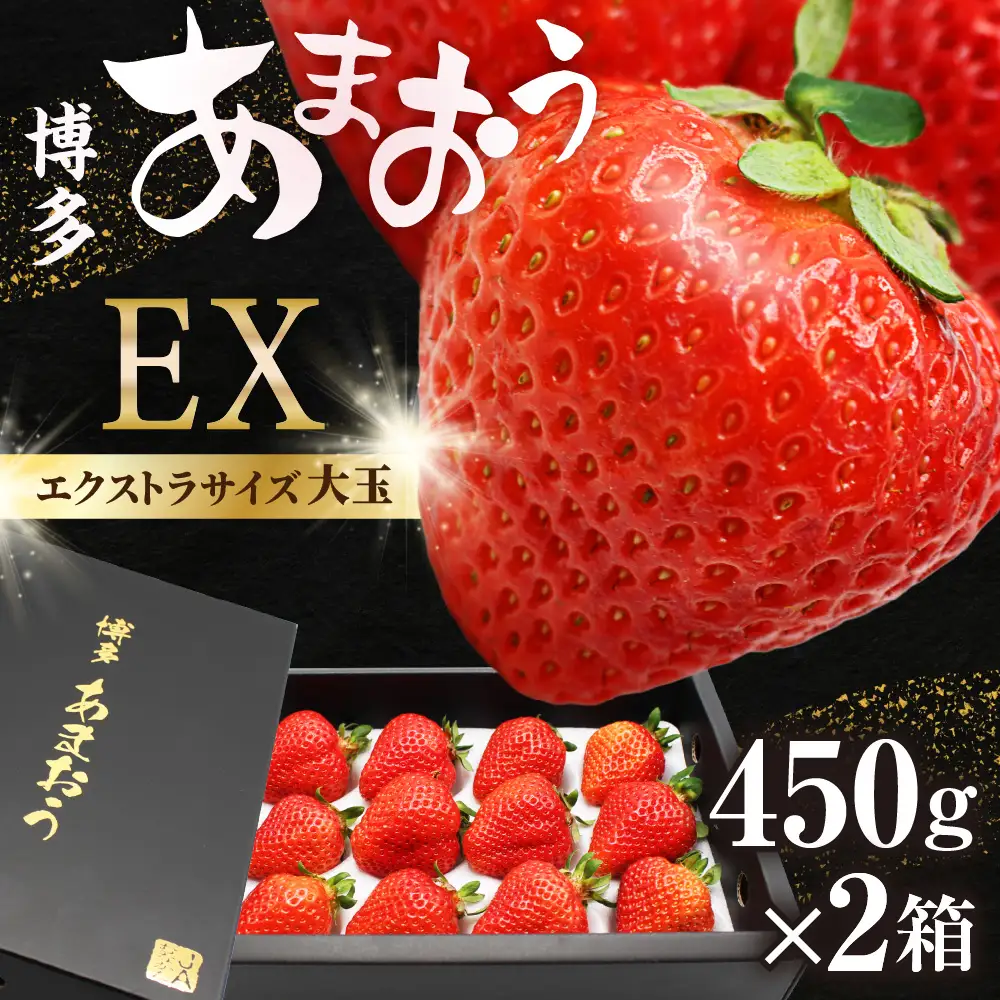 【先行予約】1月より順次発送！「博多あまおう」EX　贈答用化粧箱　約450g 2箱【ほたるの里】_HA0753