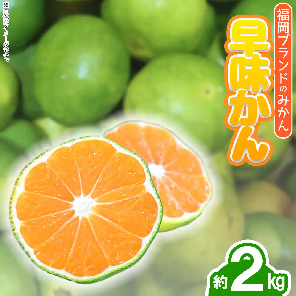 福岡ブランドみかん・早味かん約2kg 4A16