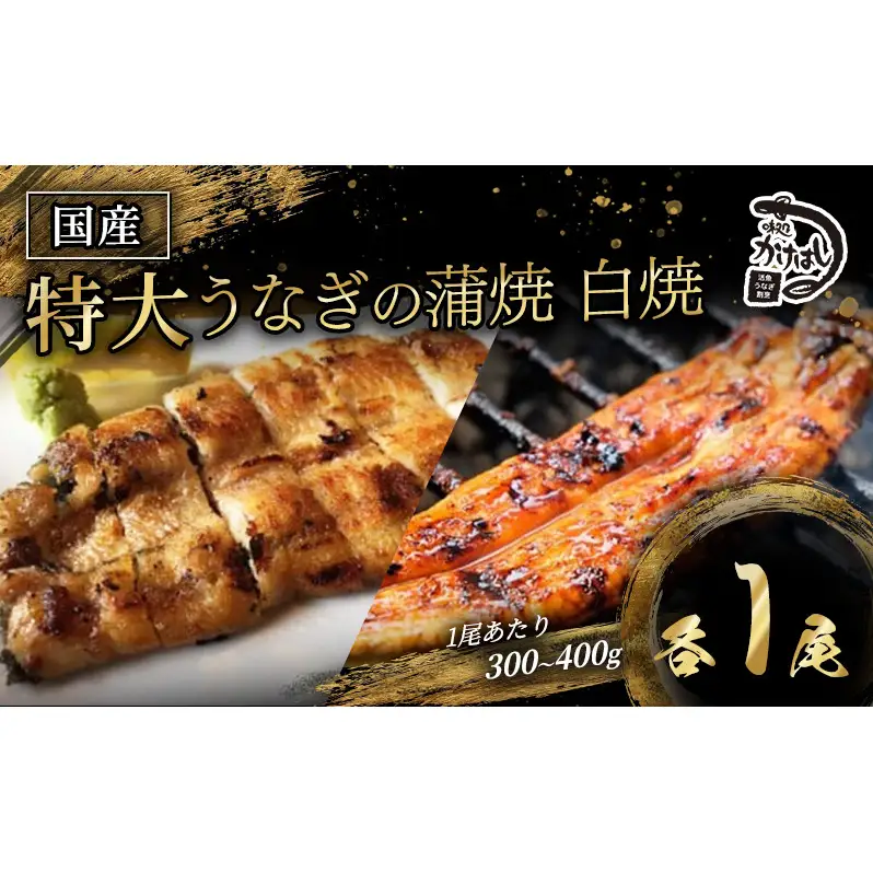 うなぎ 特大 国産 かけはし 蒲焼き・白焼き 備長炭焼き うなぎ【1尾 300〜400g】