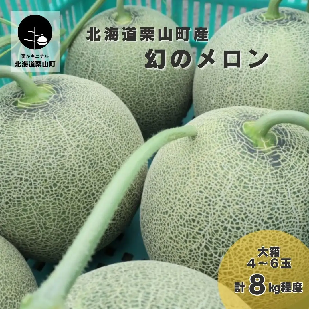 【2027年度産 先行予約】北海道栗山町産 幻のメロン 大箱（4～6玉 計8kg程度）