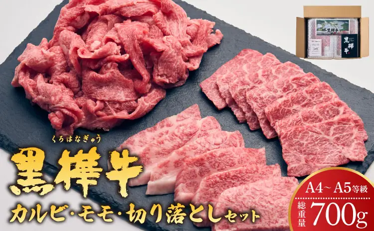牛肉 焼肉 カルビ・モモ・切り落としセット 計700g 