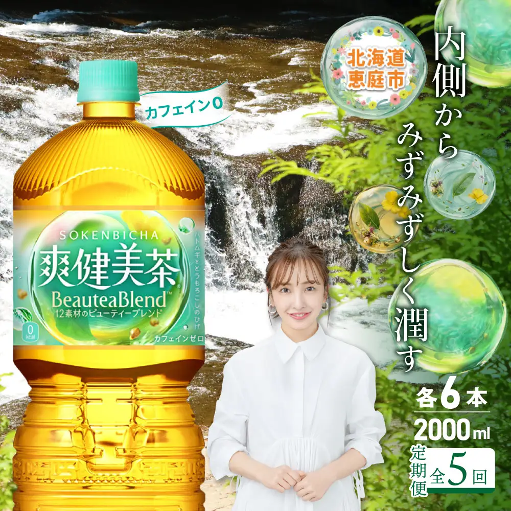 『定期便：全5回』爽健美茶2L×6本【38002102】
