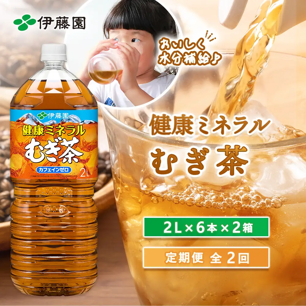 『定期便：全2回』健康ミネラルむぎ茶2L×6本×2箱【50001601】