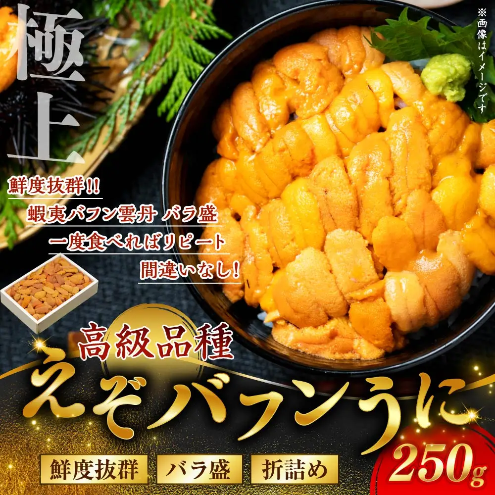 【鮮度抜群！極上生えぞバフンうに】生うに折250g ふるさと納税 うに F4F-3210